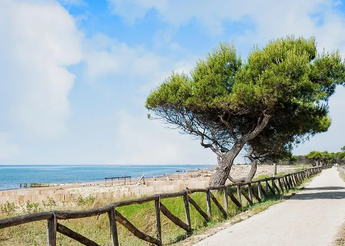 Apartment Bright Flat With Pool-beahost Bibione
